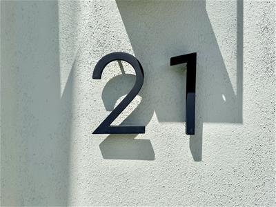 Picture 21
